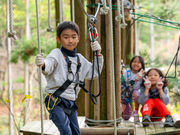 ボウケンノモリささぐりの写真3