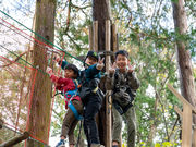 ボウケンノモリささぐりの写真4