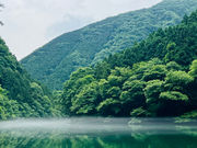 白丸villageの写真2