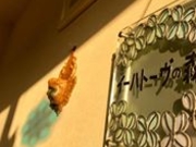 色と香りと癒しのサロン*イーハトーヴの森の写真2