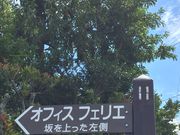 オフィス フェリエ アロマテラピー&スクールの写真4