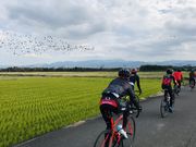 鹿児島FunRide 本店の写真4
