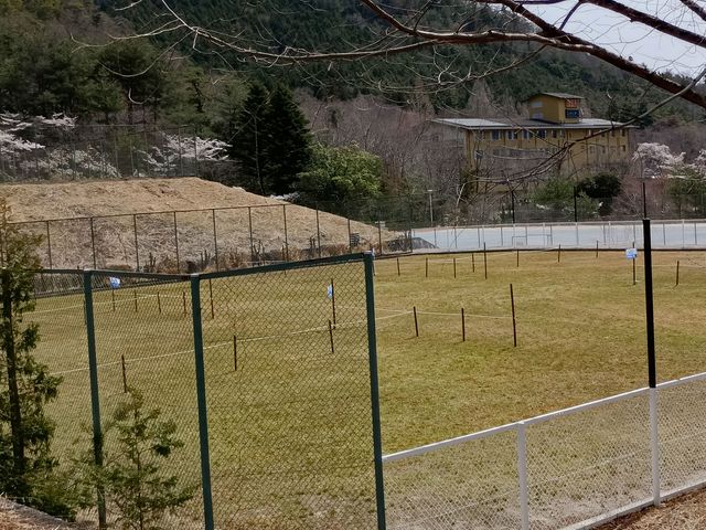 通常サイト B区画_新能勢の郷公園キャンプ場