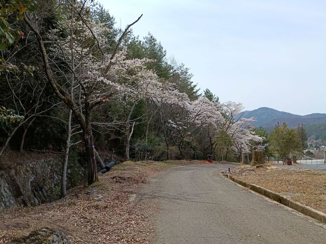 施設内遊歩道_新能勢の郷公園キャンプ場