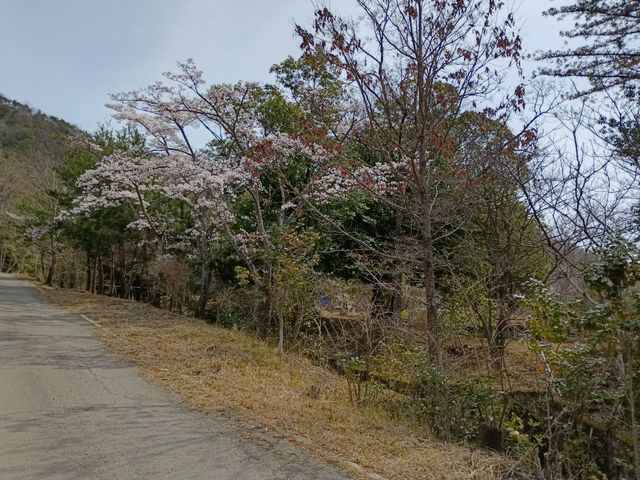 新能勢の郷公園キャンプ場