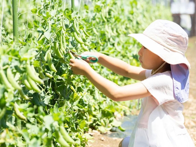 食、農業、自然に興味のある方・子供に野菜好きになってもらいたかったり、食育に興味のある方におすすめです!_東京やさい収穫体験農園 白石農園