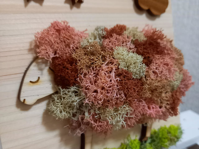 moss.sakura