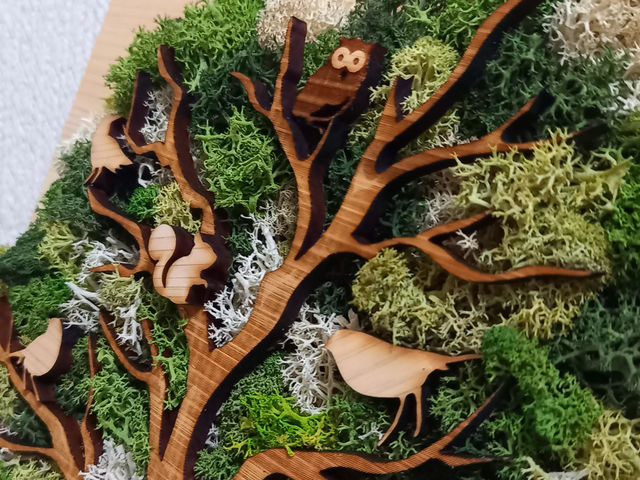 moss.sakura