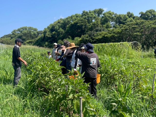 畑の”旬”を体験_座右農園