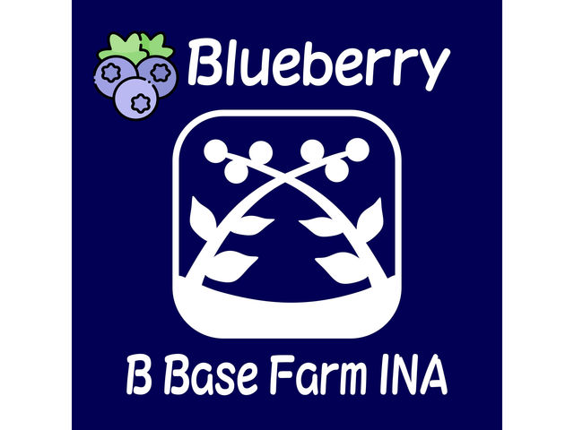 この看板を目印にご来場ください。_BBaseFarm伊那(ビーベースファームイナ)