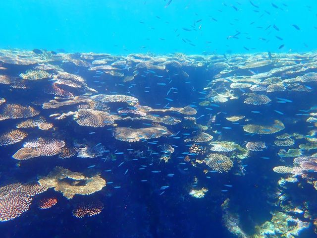 IRIE石垣島