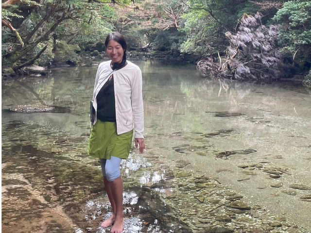 淀川の清流。静かな、深い森にご案内いたします。_屋久島リトリートシャンティー
