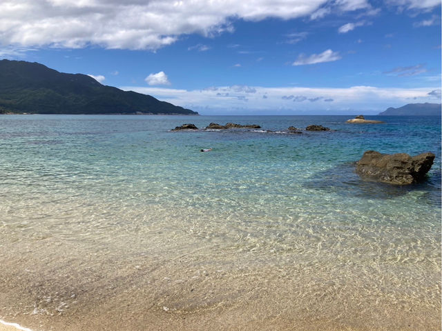 屋久島の美しい海
_屋久島リトリートシャンティー