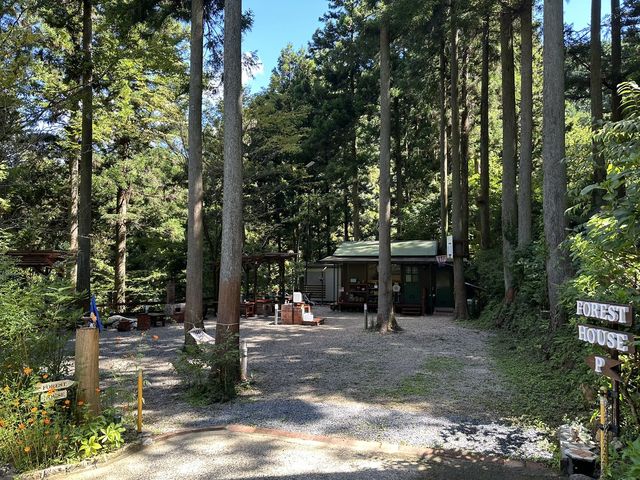 FOREST HOUSE_FOREST HOUSE