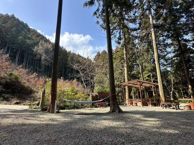 ハンモックでのんびりお昼寝_FOREST HOUSE