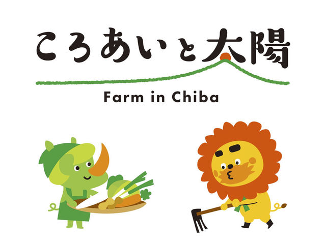 ころあいと太陽