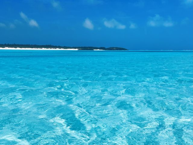 海賊与論