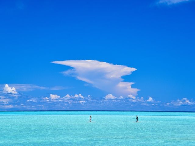 海賊与論