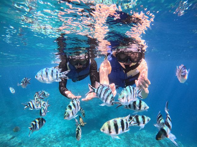 カラフル熱帯魚ボートシュノーケリング♪_エムズマリン-m’z marine