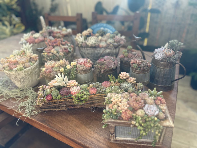 L'atelier de la sorcier