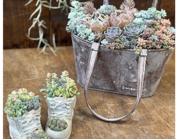 多肉植物寄植え_L'atelier de la sorcier