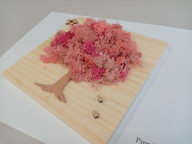 Premier Candle