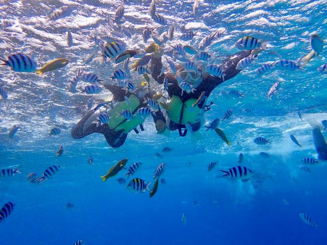 水中にはカラフルな沢山の魚たちが♪
インストラクターが安全管理をするので、大人から子どもまで安心して楽しめます☆_OKK MARINE CLUB