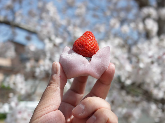花よりいちご大福_糸島サイクルツーリズムセンター