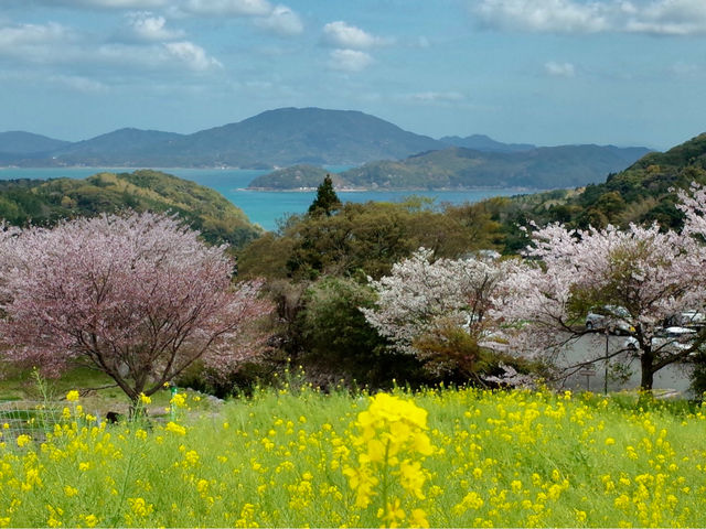 時には忘れられない景色に出会えることも_糸島サイクルツーリズムセンター
