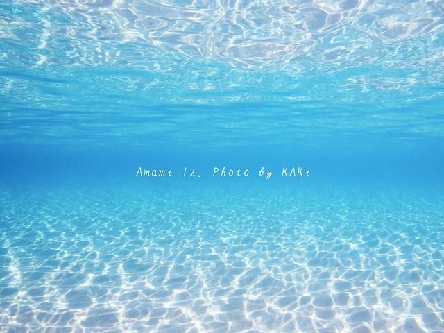 綺麗な奄美大島の海を堪能してください♪_SEA and MOON AMAMI