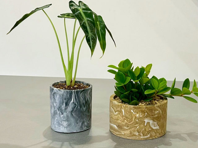 GREEN BASE asoda