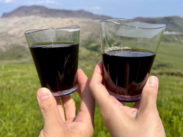 山を眺めながら、コーヒーで乾杯。_青の旅行社