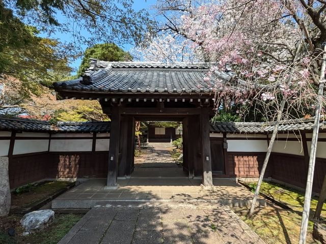 三光院の山門
11時に開門します_三光院