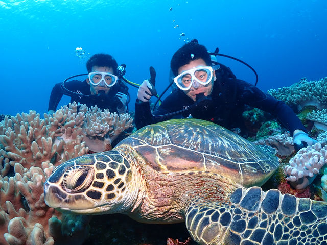 For safety reasons, we offer small group tours, such as one small group._BANK_SEA ISHIGAKI