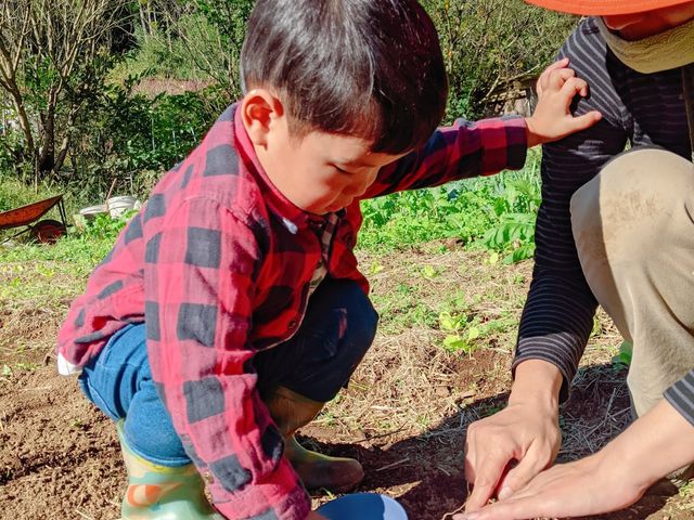 ILA Community Farm