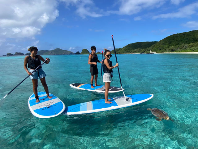 SUPからもウミガメに会えたらラッキー_maru earth