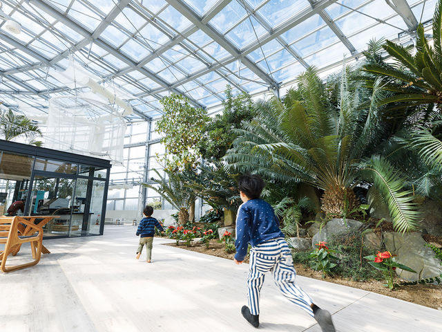 氷見市海浜植物園