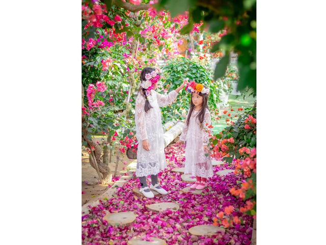 唐津観光花園 ブーゲンの森