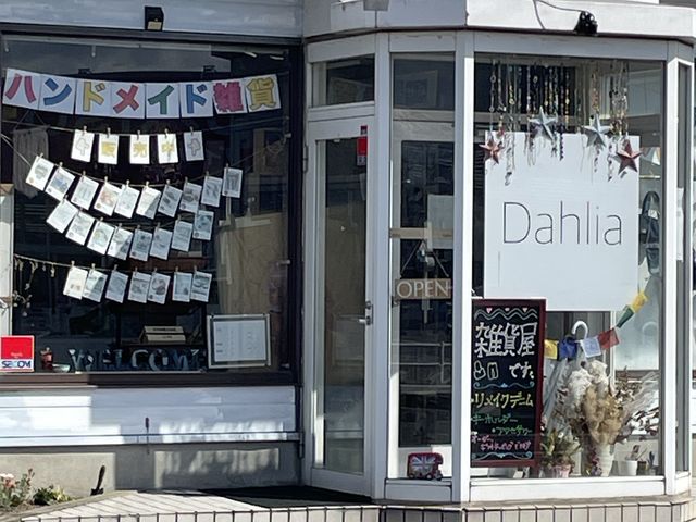 Dahlia