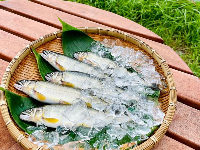 鮎乃家