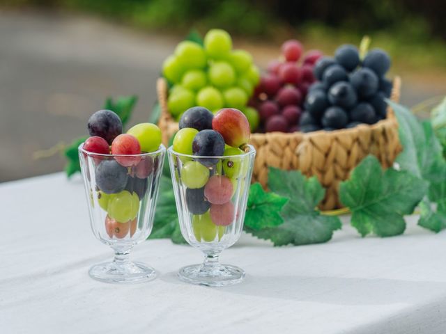 oboco grapes