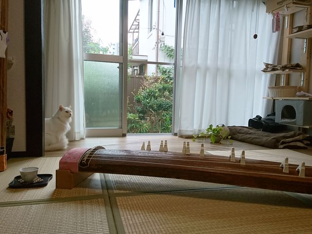 小さな庭が見える稽古場は「おばあちゃんち」のような親しみやすさと懐かしさがある……?_上遠野文音箏曲教室
