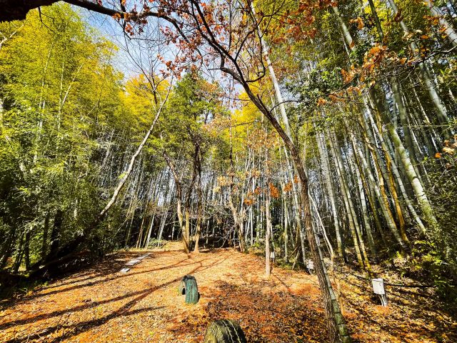 CampsiteYuNa