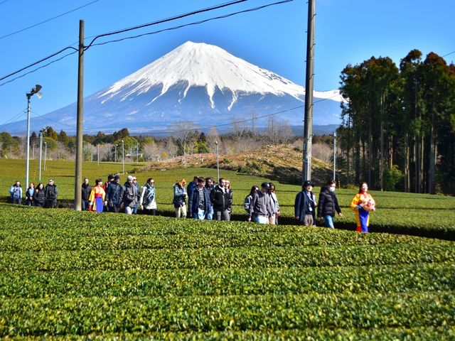 富士さんを眺めながら各イベントが楽しめます。_荻野製茶 茶縁