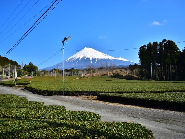 荻野製茶 茶縁