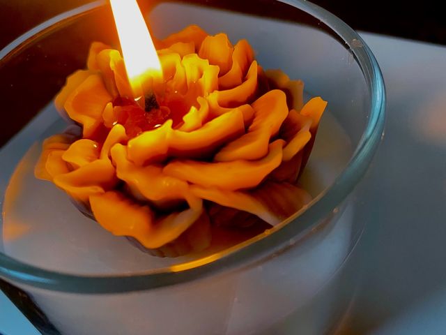 HODORO CANDLE