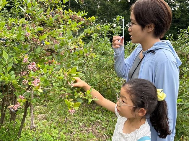 あおきの森ブルーベリー園
