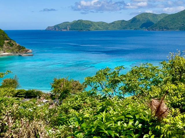加計呂麻島の絶景
絶景ポイントが複数あるので、ドライブでぜひ巡ってください。名前がついてない絶景ポイント多数あり。_カケロマリン