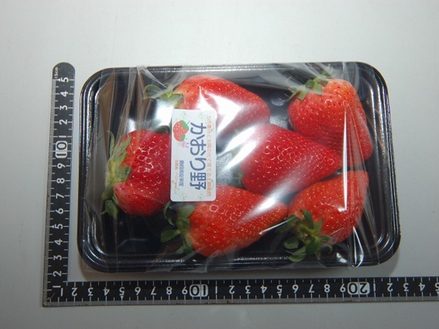 直売の4Lイチゴ(かおり野)_さわこ苺農園