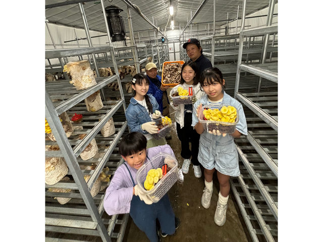 いまふくグリーンハウス